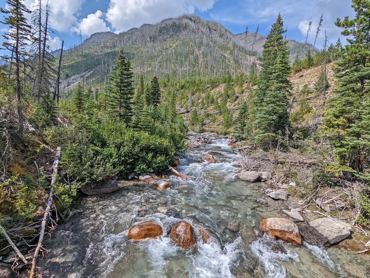 Bridge view of rushing Floe Creek, lined by scattered trees and mountains in background