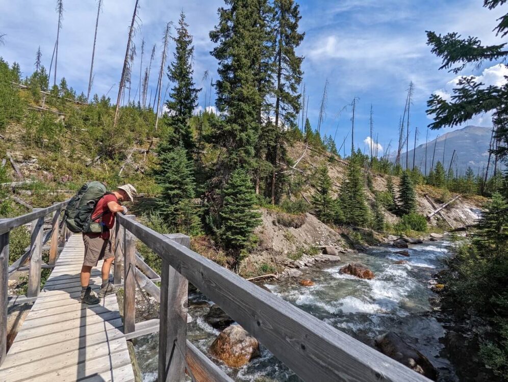 Side view of JR standing on wooden bridge over Floe Creek, with scattered trees on banks