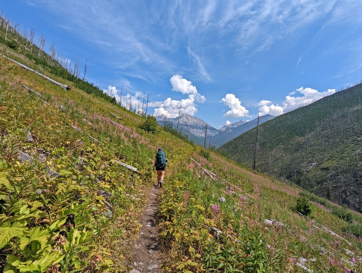 Back view of Gemma hiking the Floe Lake Trail, which is surrounded by green foliage and fireweed plants. There are no trees