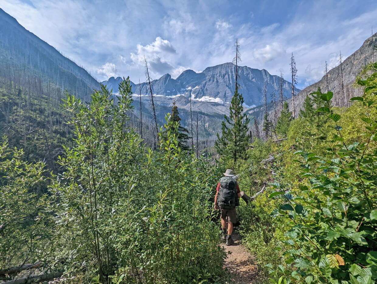 Back view of JR hiking the Floe Lake Trail with high foliage surrounding him. Mountain ranges are still visible above