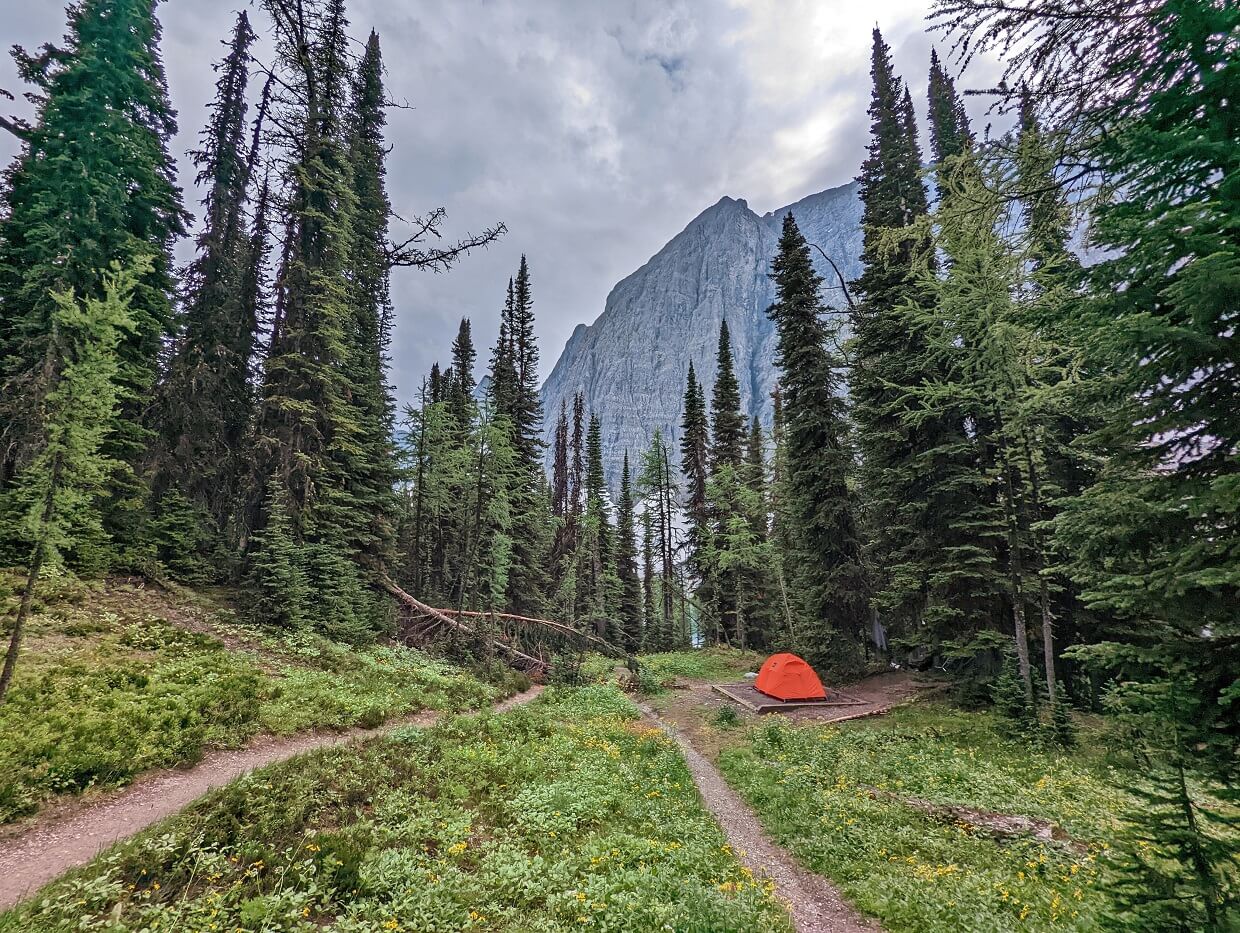Orange tent on dirt tent pad next trail in Floe Lake campground, surrounded by forest with towering mountain in background