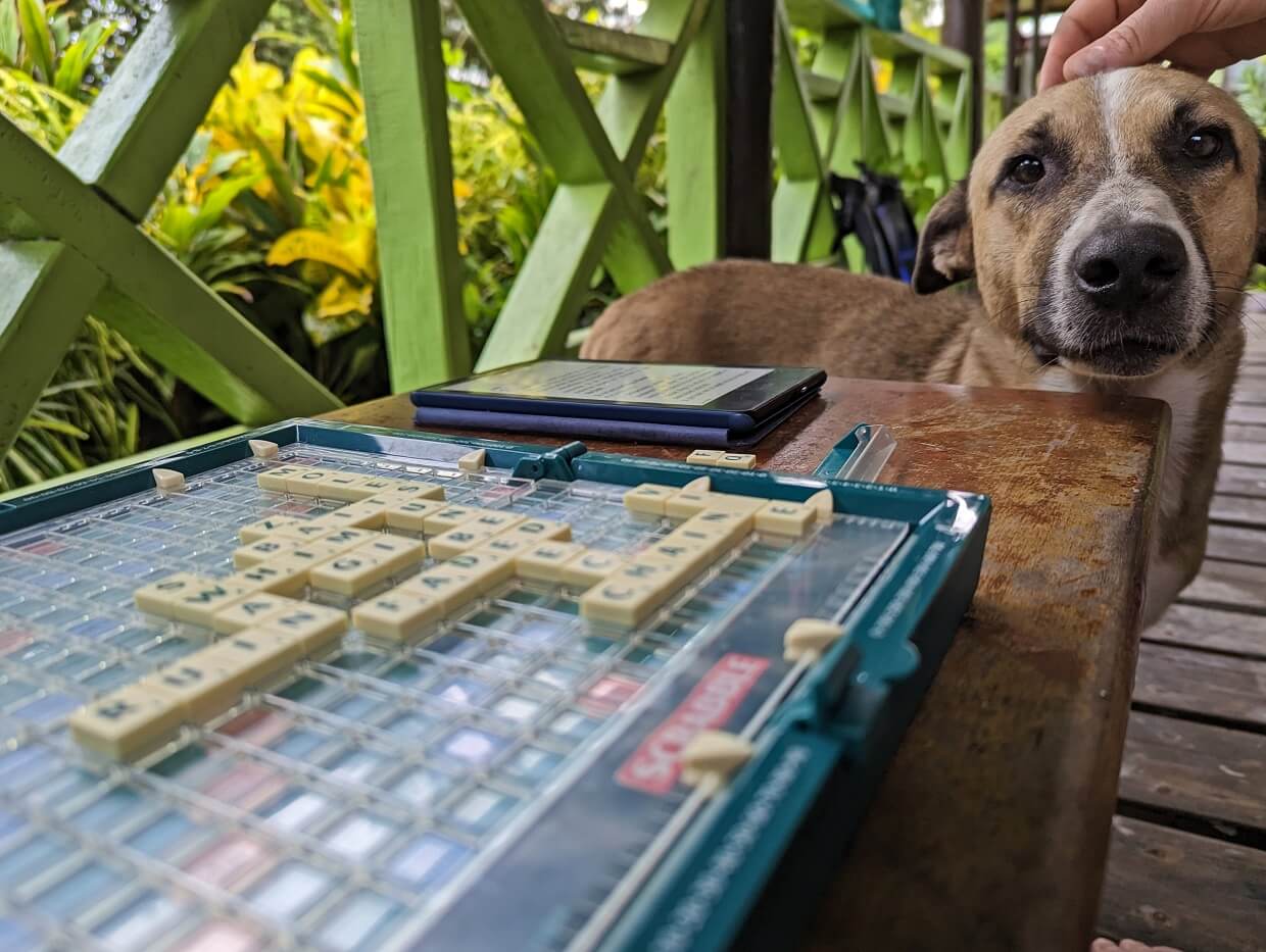 Close up of travel Scrabble board on deck with dog in background