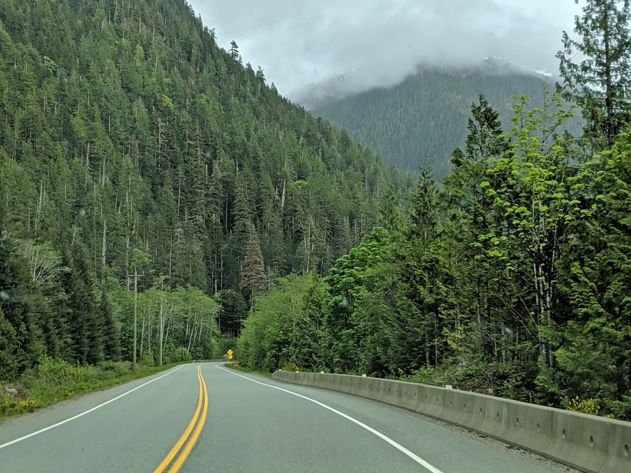 Driving view of Highway 4, with highway surrounded by forest. There is a mist obscured mountain in the background