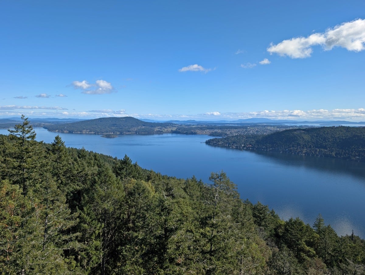 Looking over forest to a calm inlet with layers of forested islands behind, with clouds just above the horizon