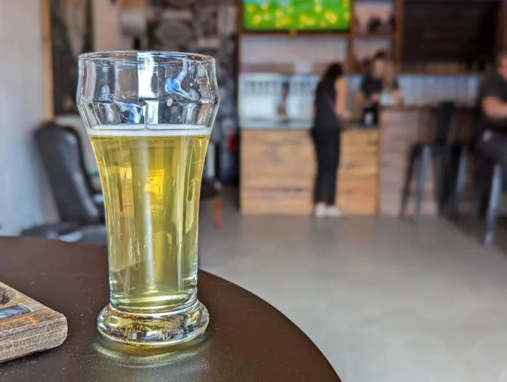 Close up of flight sized glass with light coloured beer on table in front of Stettler Brewing Company background