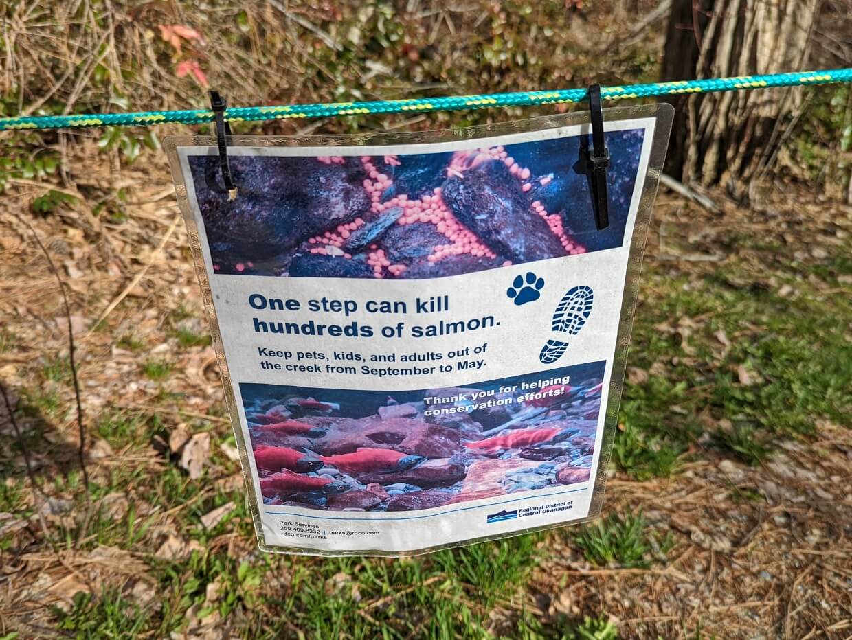 Close up of warning sign stating 'one step can kill hundeds of salmon.'