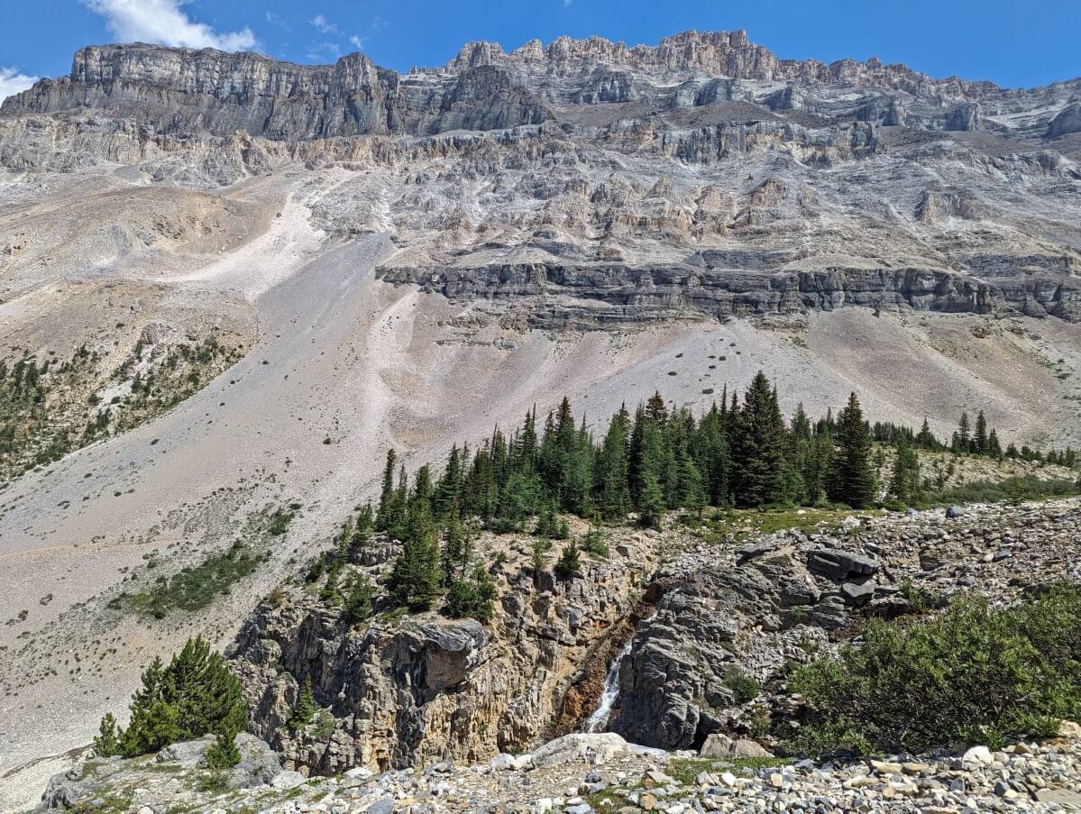 Looking across to forested bench area in open upper basin area with castle like mountain peaks above