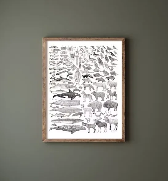 Framed art print with 100 species of animals native to BC