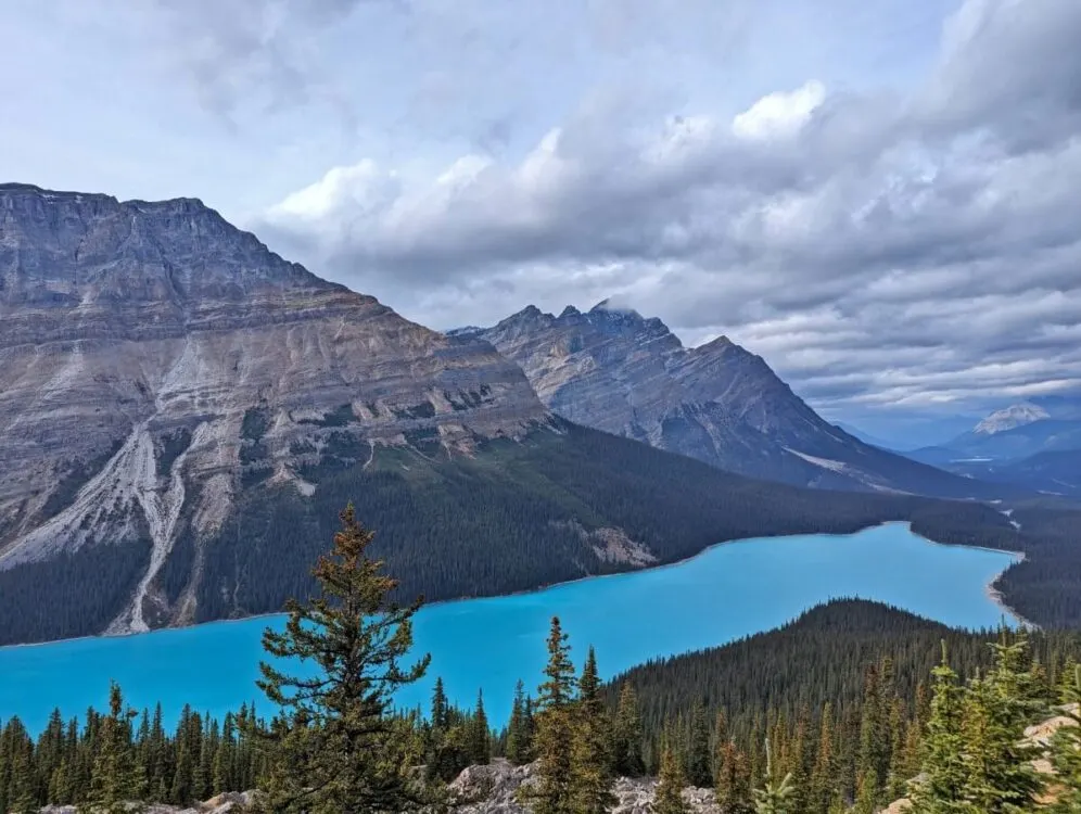 Elevated view looking down on turquoise coloured Peyto Lake, surrounded by mountains in Banff National Park