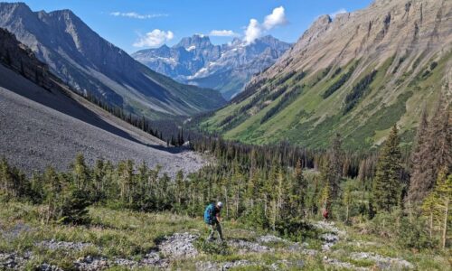 Turbine Canyon Backpacking Loop (North/South Kananaskis Pass): Complete Hiking Guide