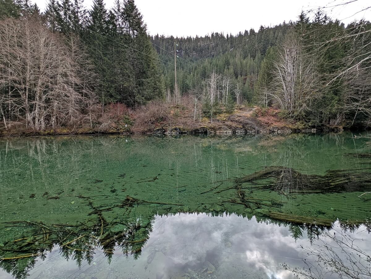 River side view of Taylor River, which has reflective turquoise coloured water. Trees line the other side of the bank