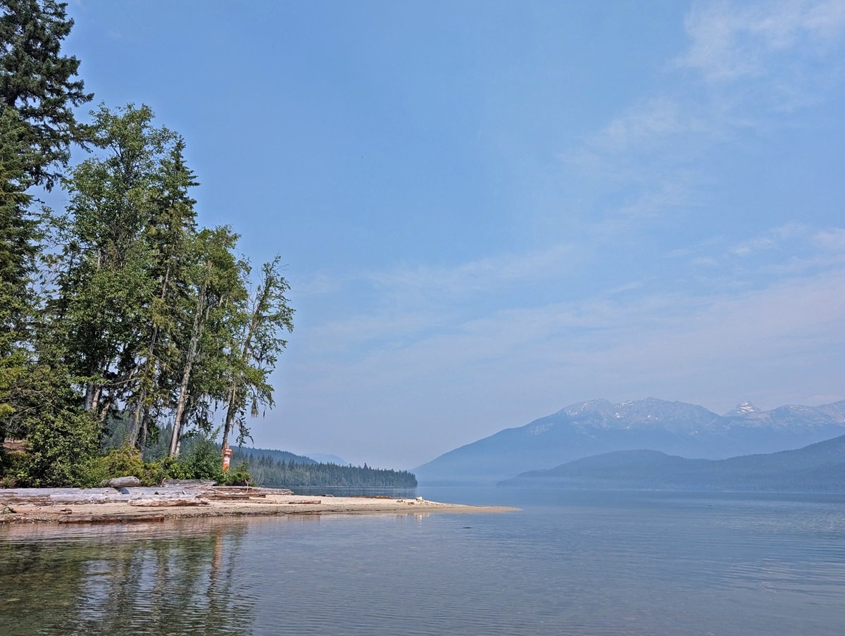 Water view of sandy beach, with driftwood and lined by trees. There are mountain views in the background. The lake is very calm