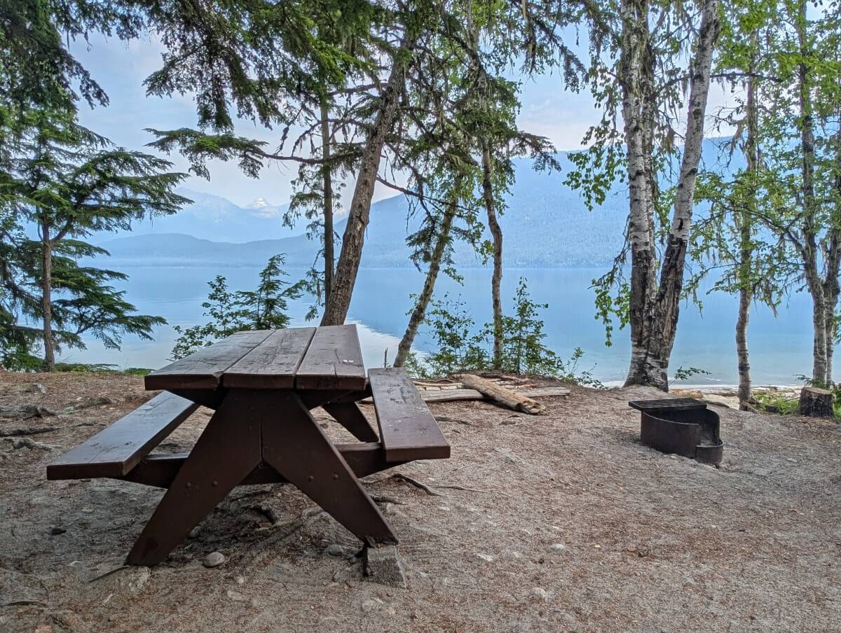 A picnic table in a semi-open area of the campground, next to a fire pit, with scattering of trees behind and lake views in background