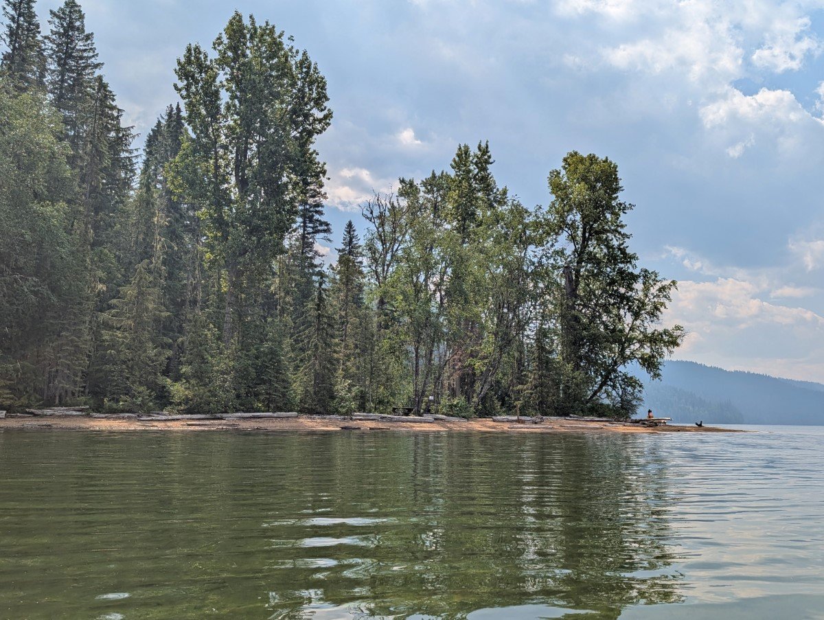 Canoe view of calm lake, looking towards sandy shoreline lined by trees, with driftwood on the beach