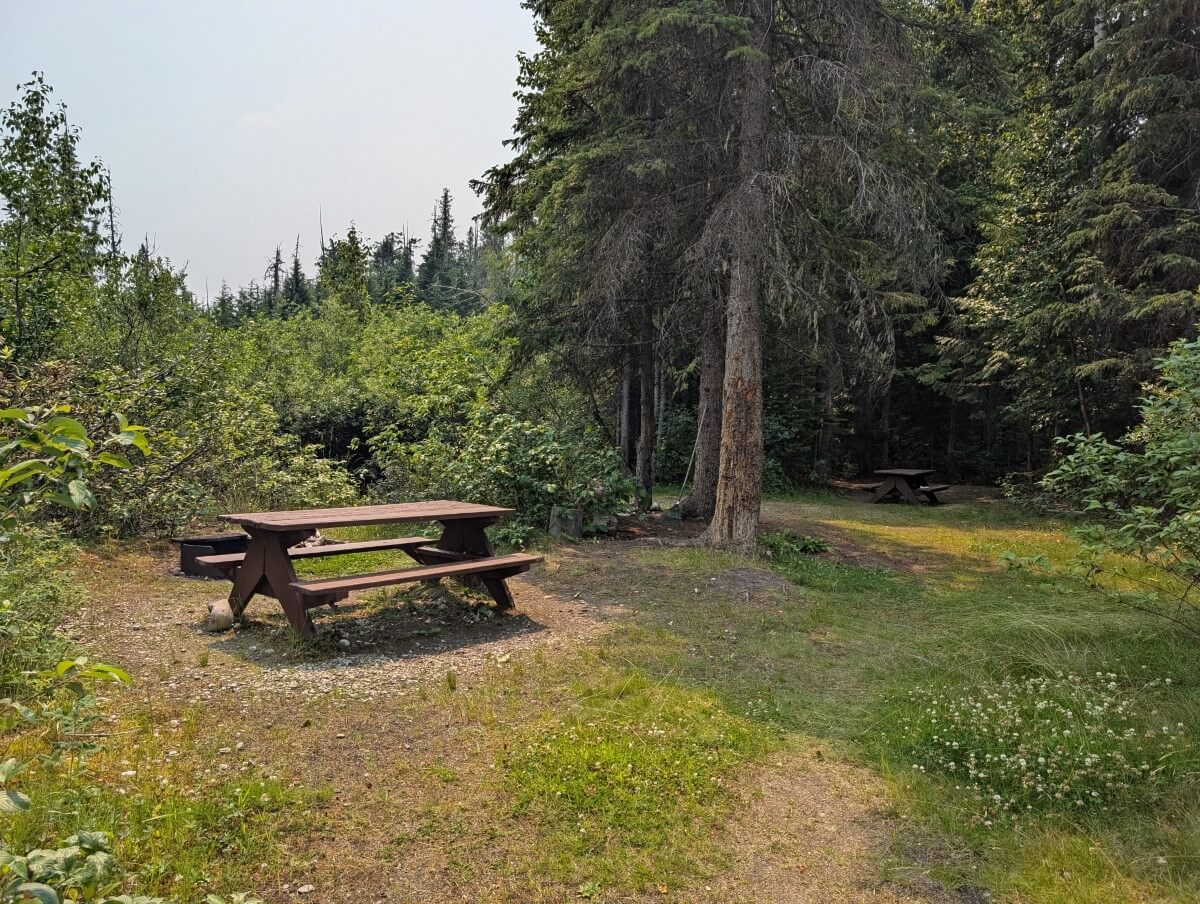 A picnic table sits in a open grassy area surrounded by trees