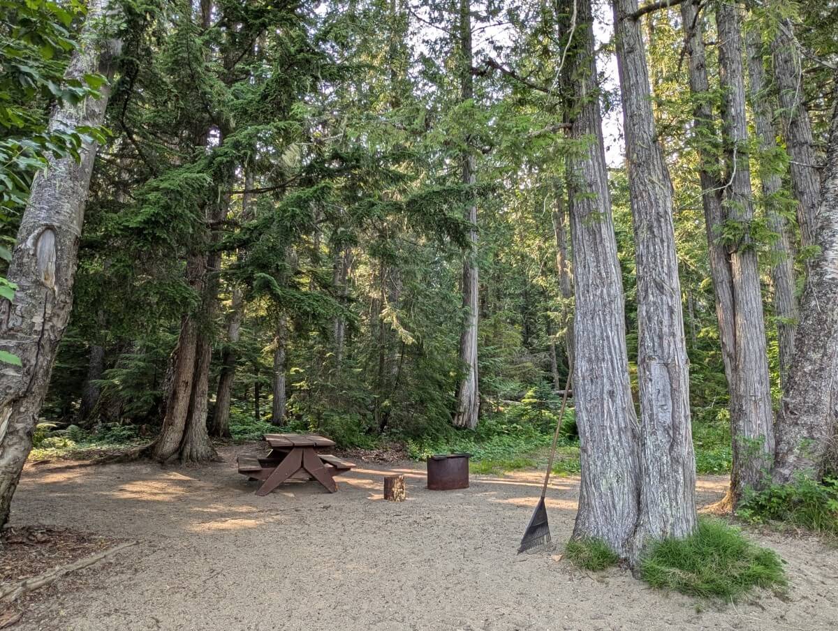 Campground view with cleared area, scattered trees and picnic table and fire pit