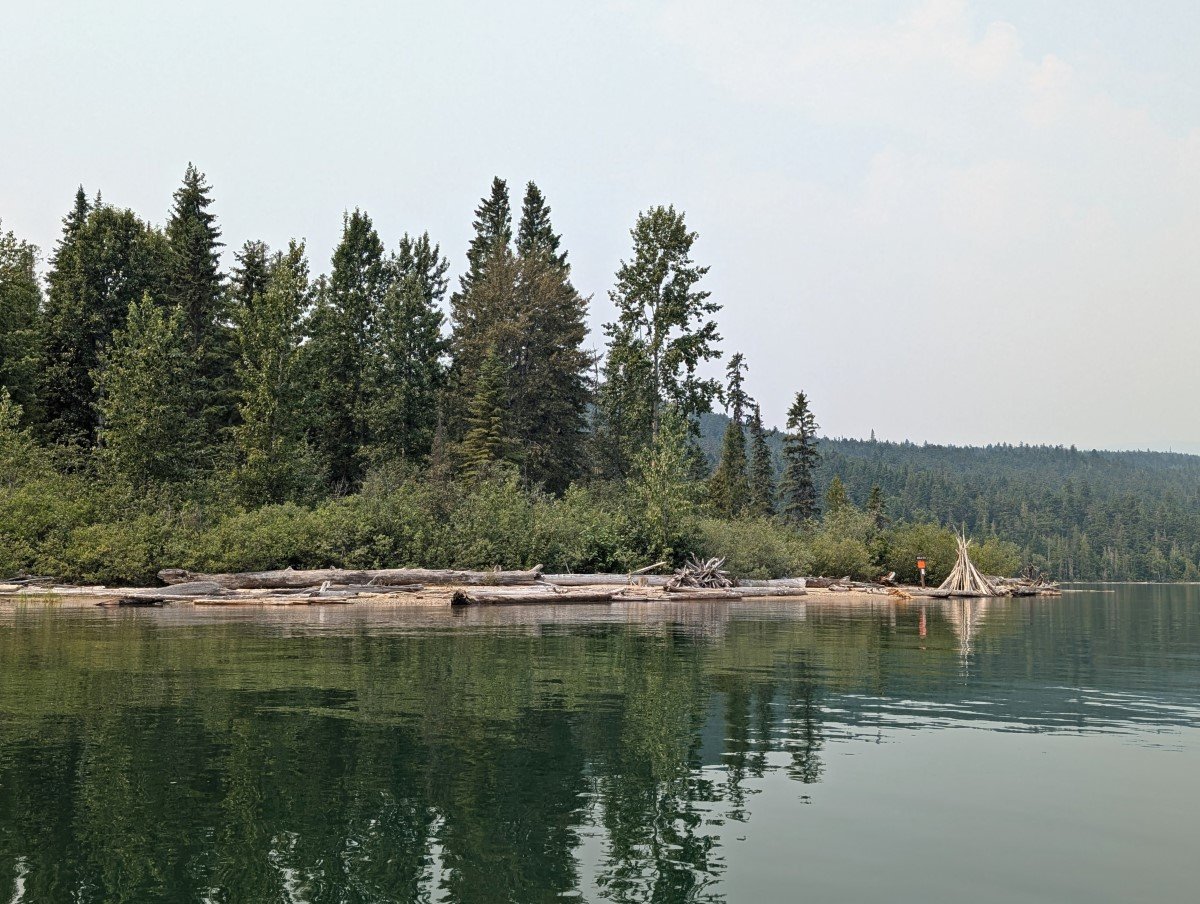 Canoe view of calm, reflective lake with narrow beach ahead dotted with driftwood, lined by trees