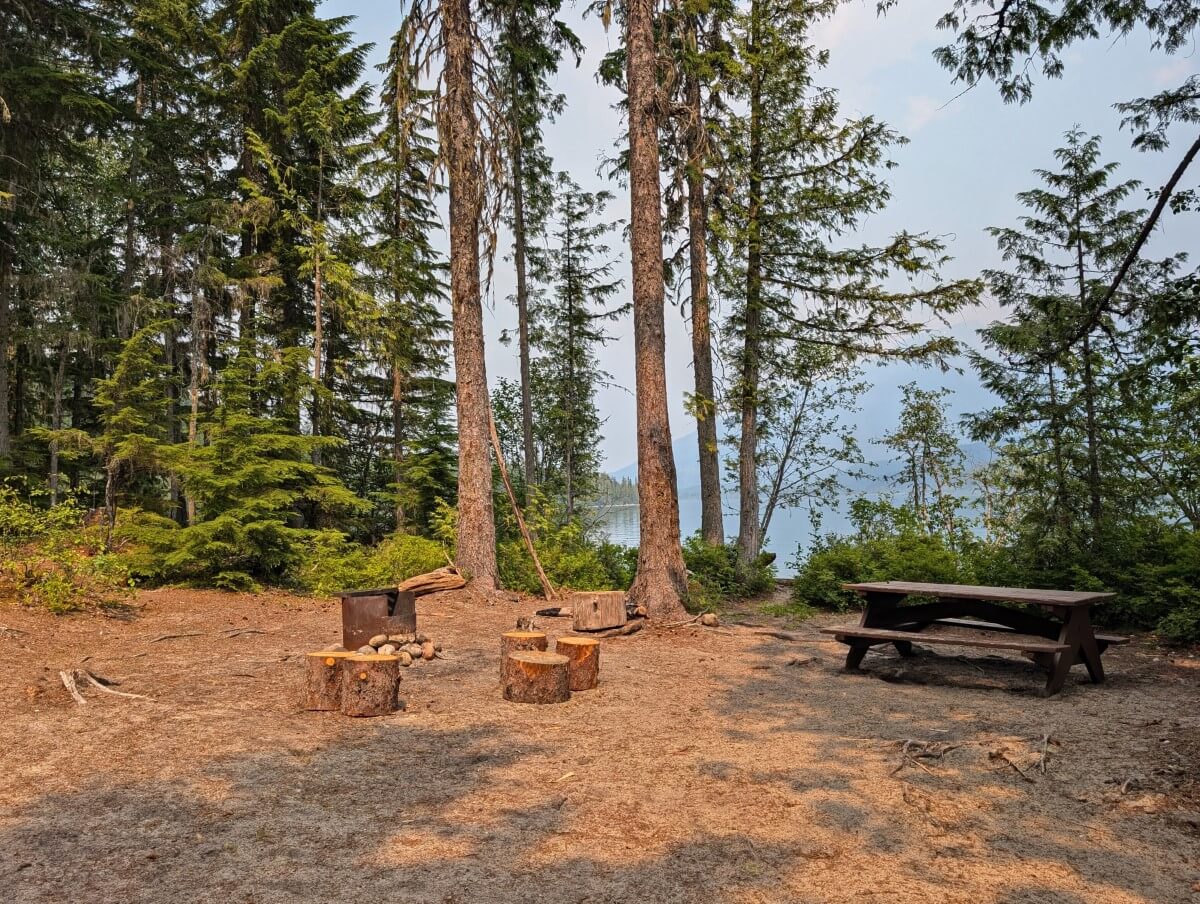 Semi open campground view with picnic table, cut logs for seating, fire pit and scattered trees. A lake is visible through the trees