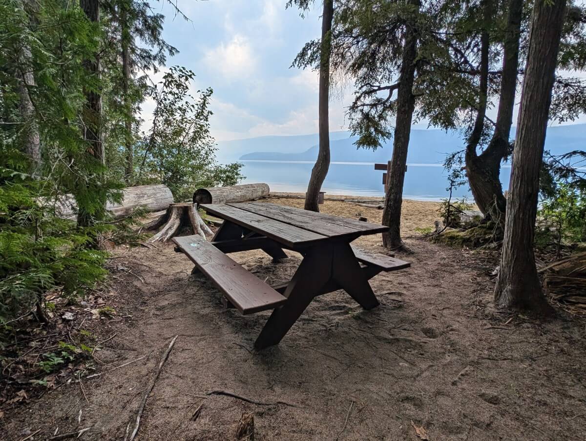 Semi open campground view with two picnic tables, scattered trees and lake views in background