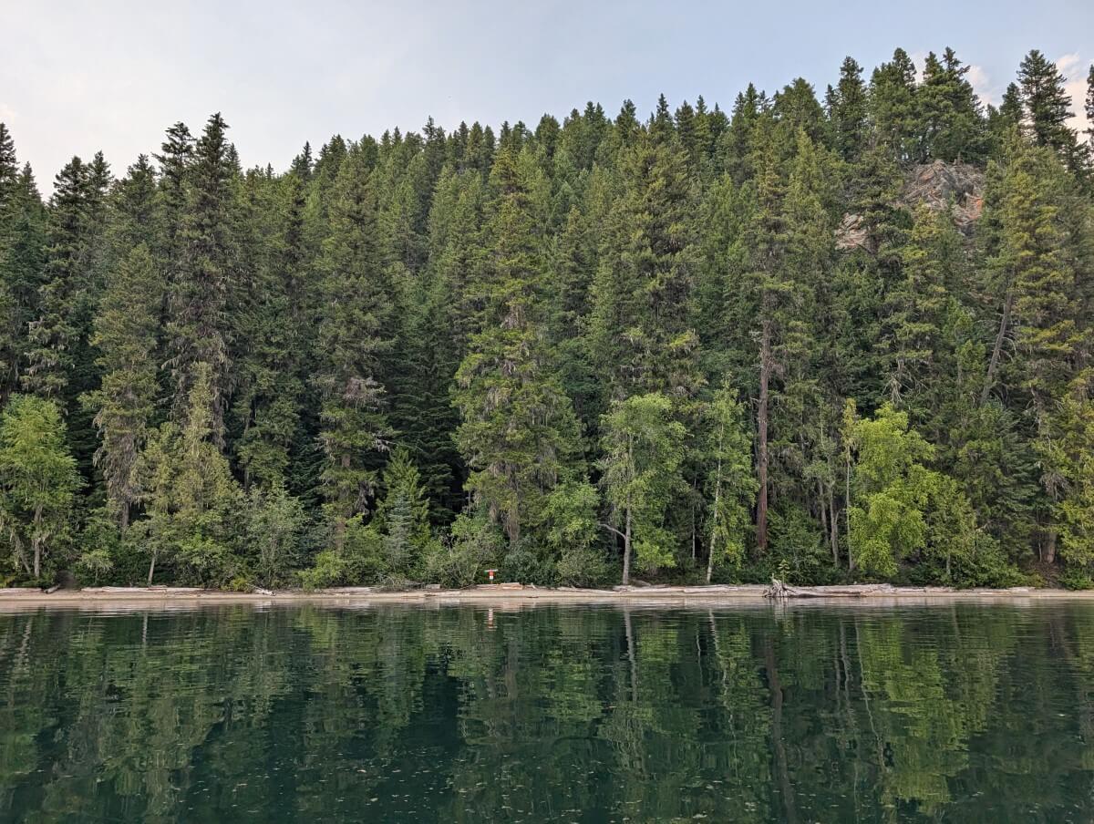 Canoe view of calm lake with backdrop of trees. A campground sign is visible in front of the trees