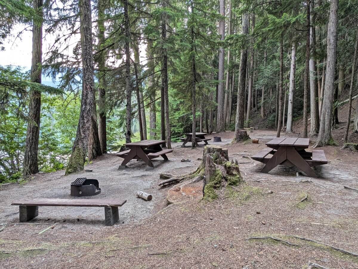 Campground view with cleared area, scattered trees and many picnic tables and fire pit