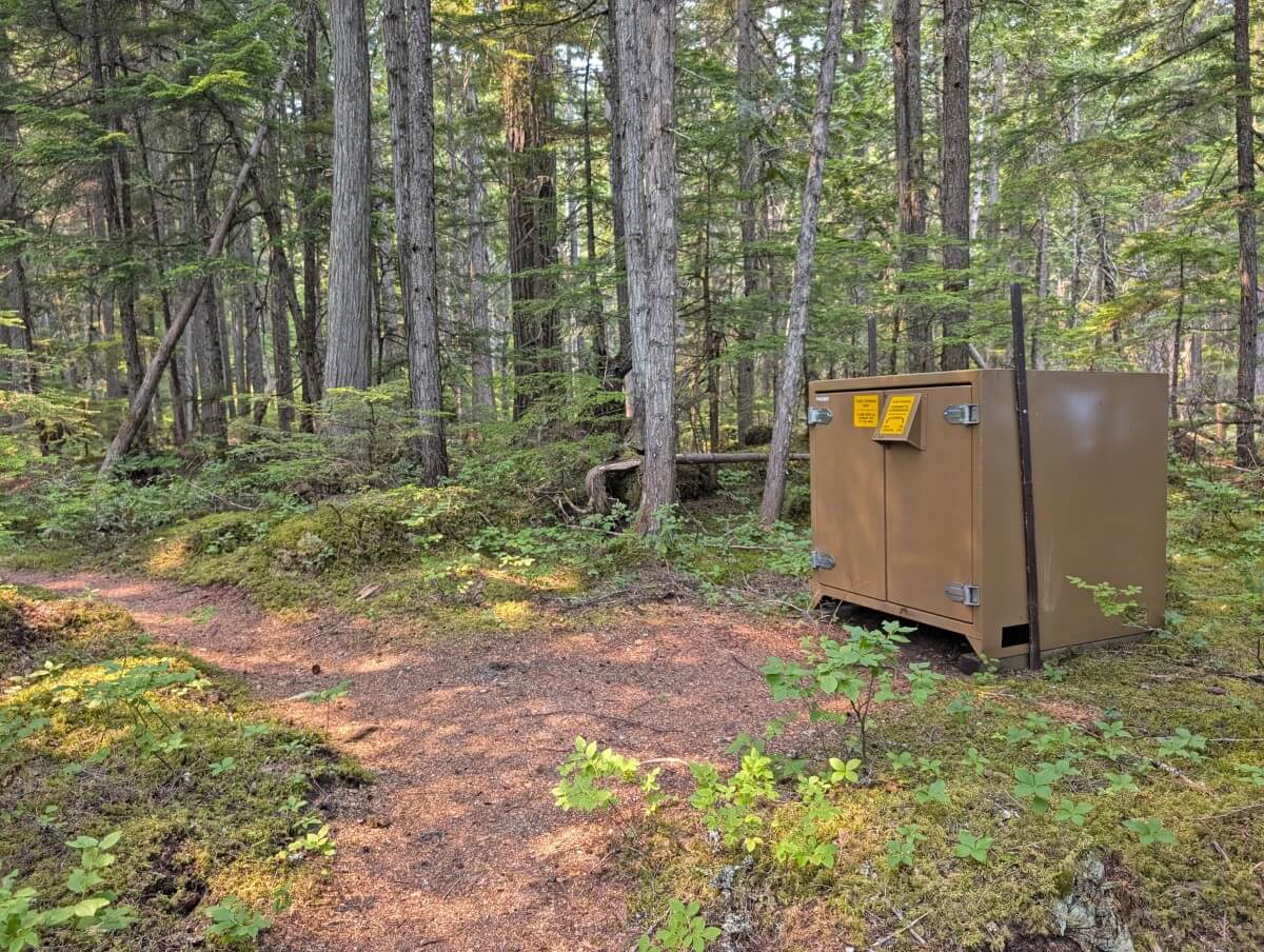 Forested campground view with metal bear cache on right