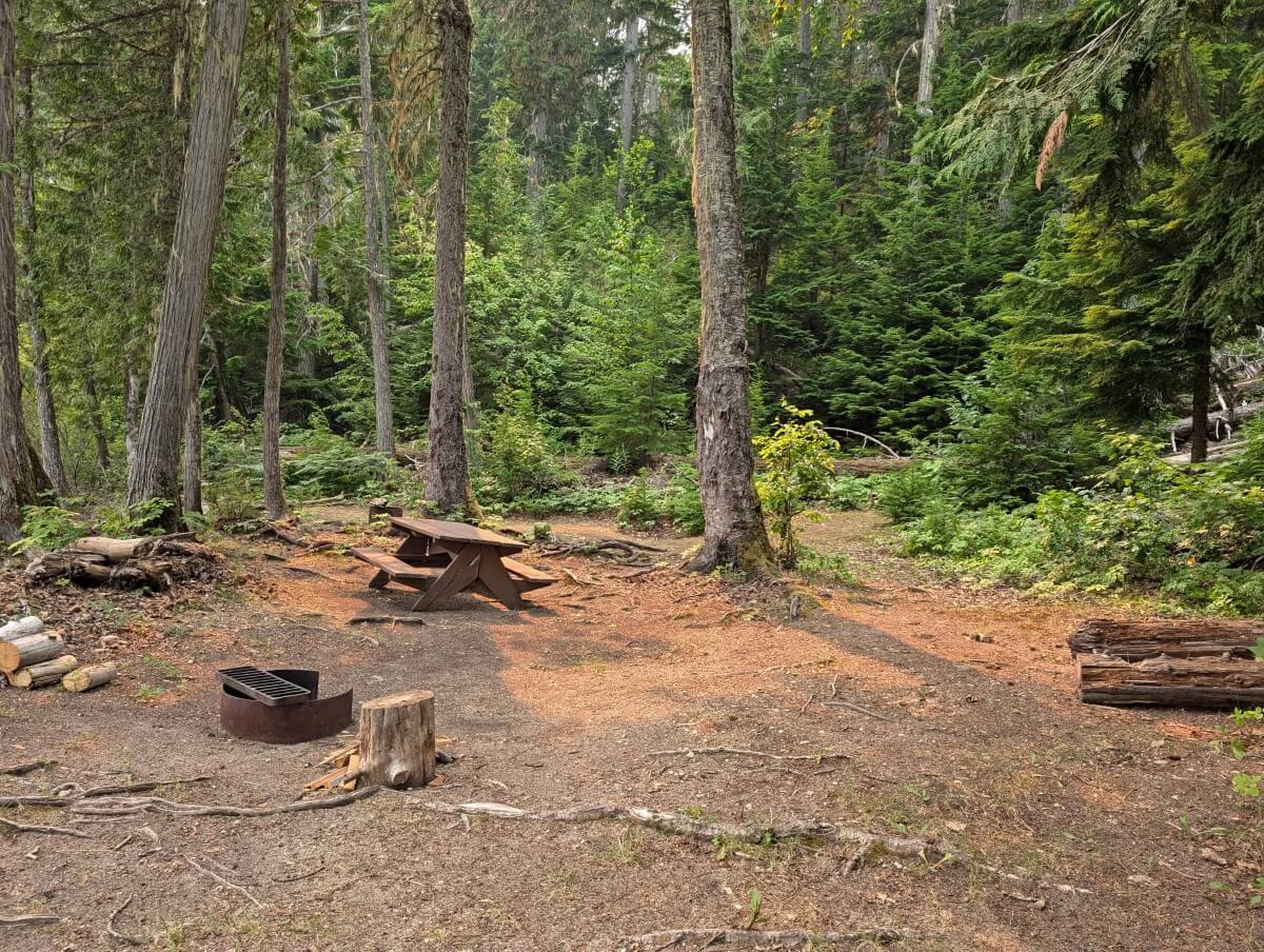 Semi-open area with metal fire pit, picnic table and tall trees