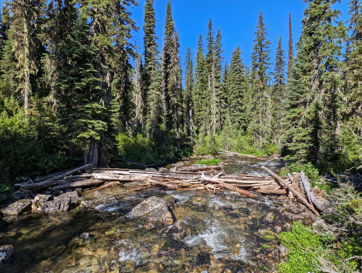 Rocky rushing creek backdropped by forest, with old wooden bridge crossing it at parallel angle