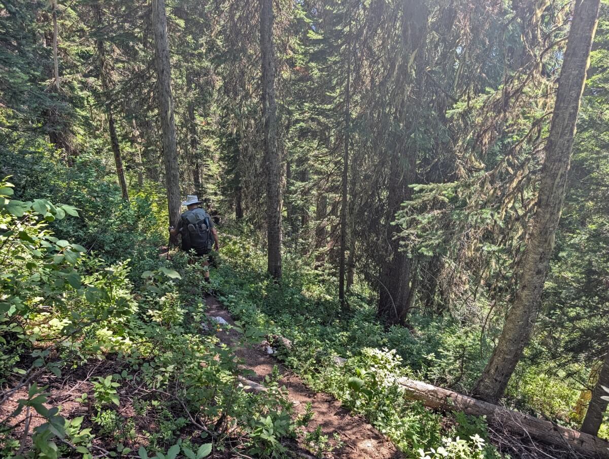 A hiker descends a forested switchback on the Little Peters Lake Trail