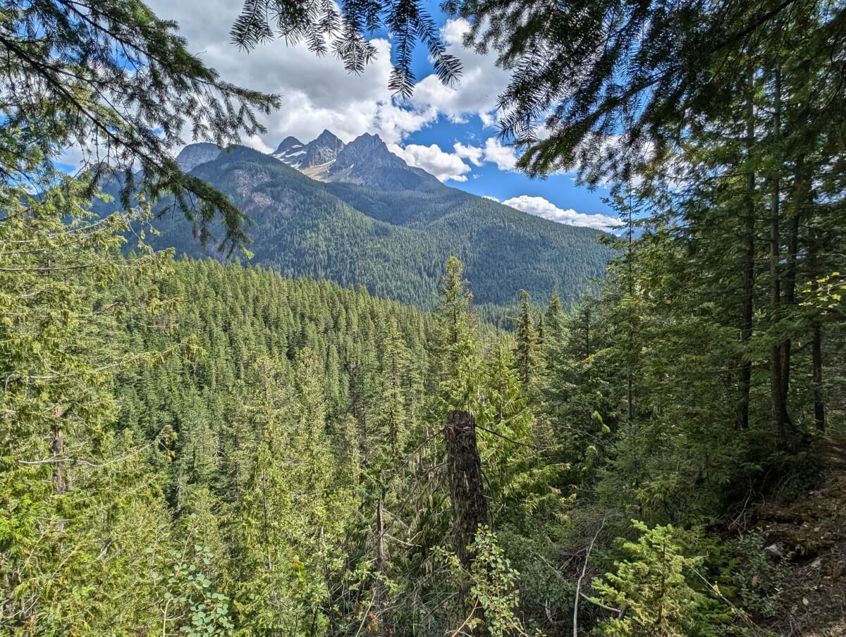 Trail views of Mount Fosthall through trees with forest slopes behind