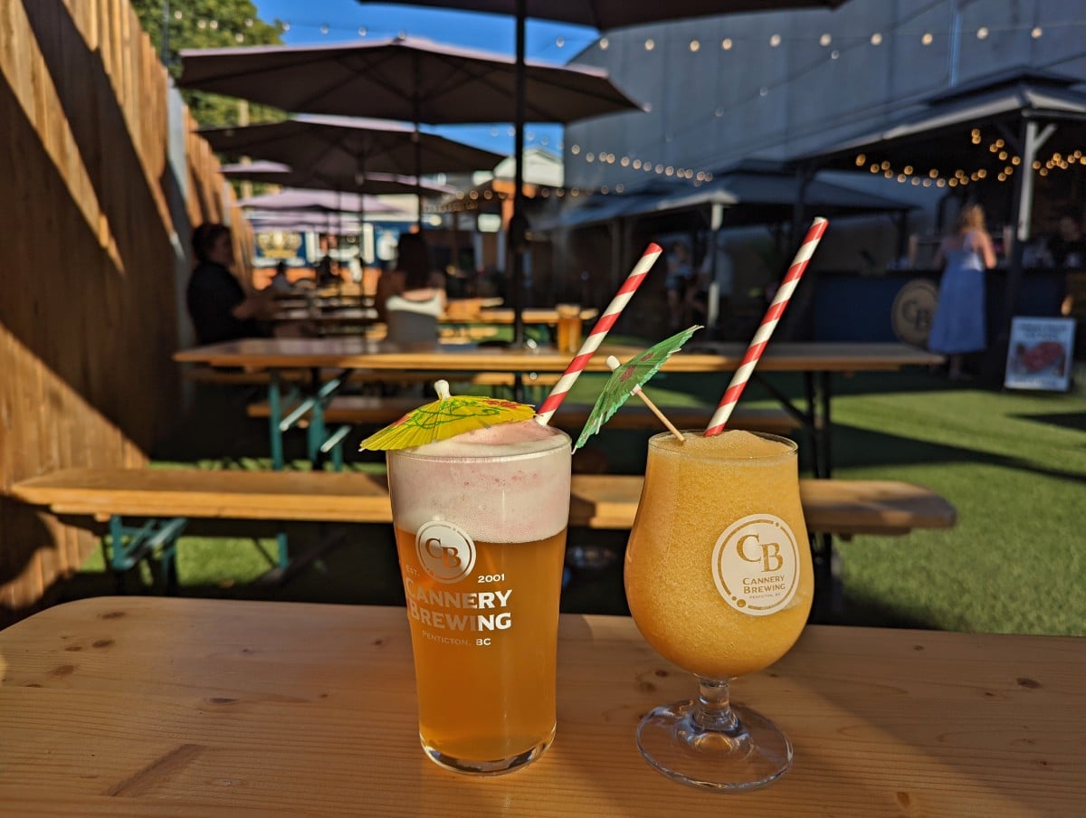 Close up of two different beer glasses in the sunny Cannery backyard, with background of picnic benches