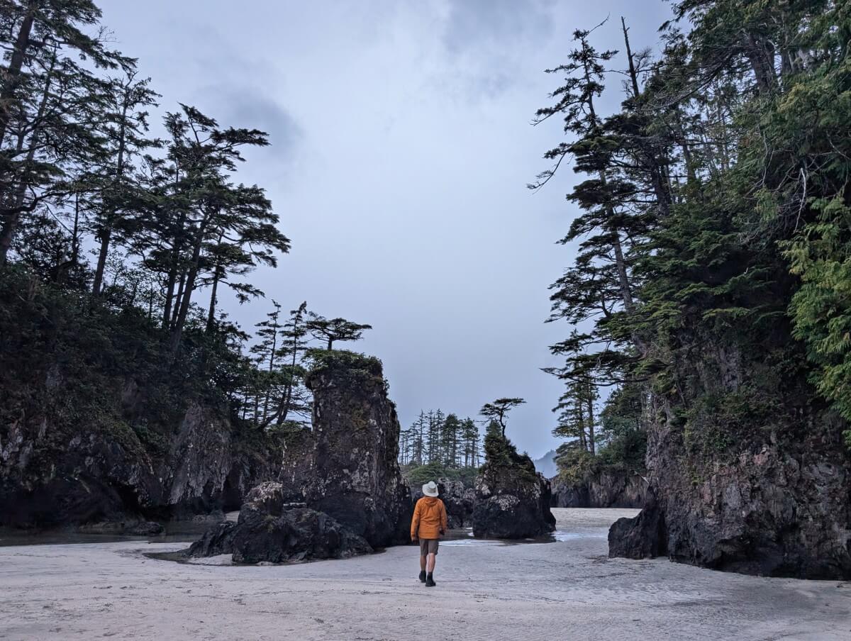Back view of hiker in orange jacket walking towards San Josef bay sea stacks, rock formations with small trees on top, between headlands