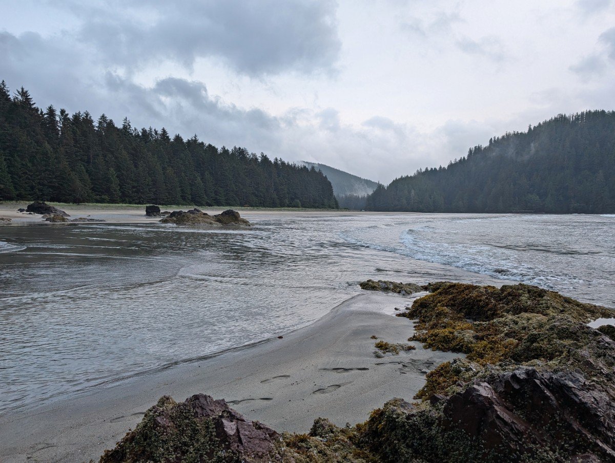 Looking across seaweed strewn rocks on San Josef Bay, with ocean behind, sandy beach visible, forest and forested mountain backdrop