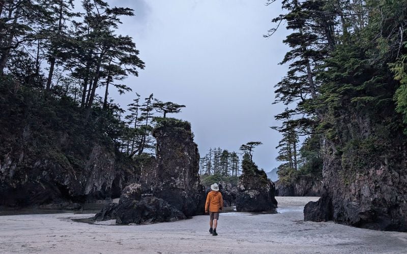 San Josef Bay, Vancouver Island: Hiking and Camping Guide