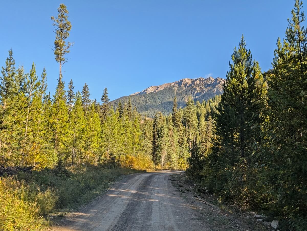 Vehicle view of Forest Service Road access to Diana LAke, with wide-ish unpaved road lined with trees and mountains in the background