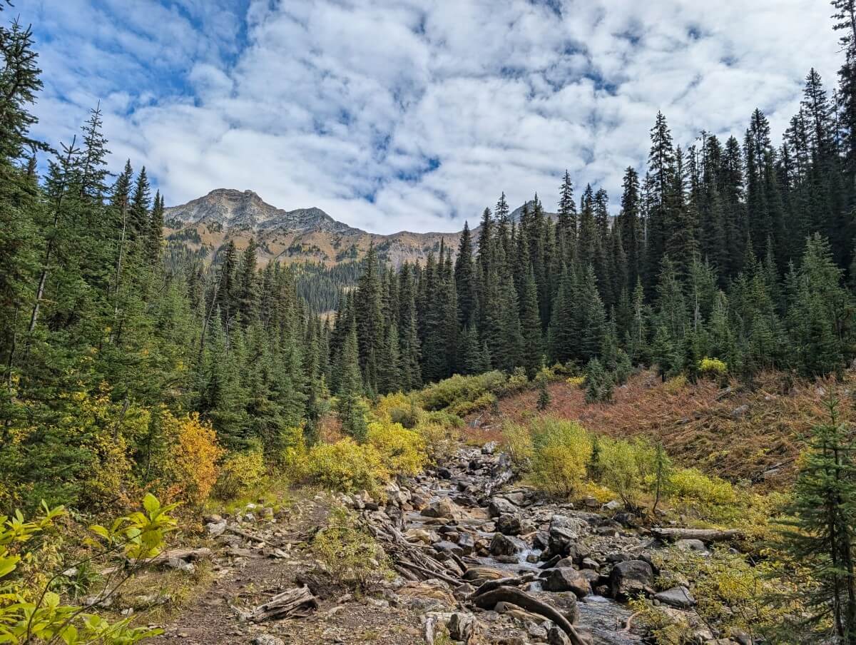 Pinnacle Creek runs through a rocky area with the trail to the left, forested backdrop with mountains in the distance