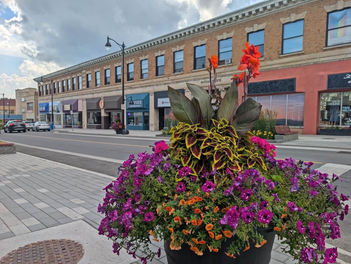 Colourful flowers in huge ground basket in foreground of Thunder Bay street scene, with line of brick building shops in background