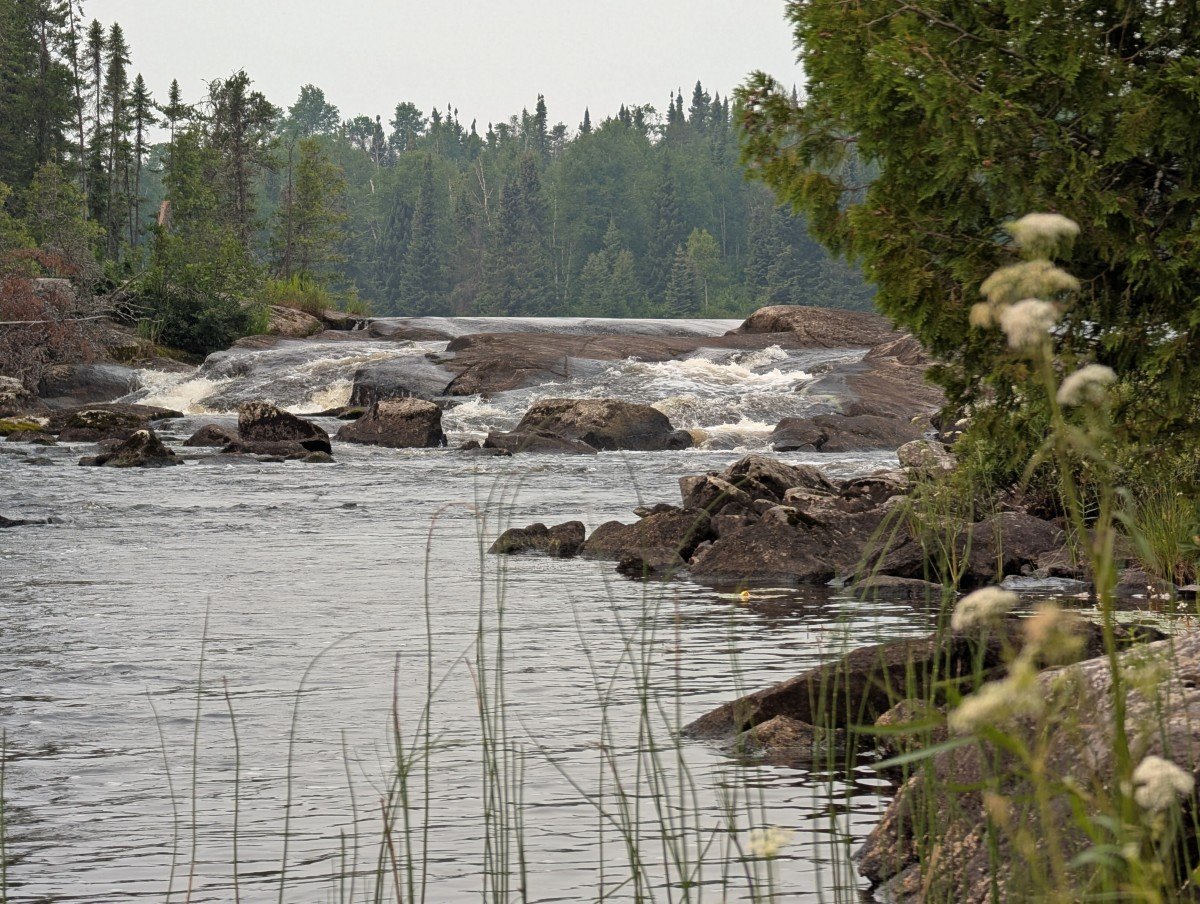 Peeking through flowers and other river foliage to some rocky chutes in Wabakimi Provincial Park