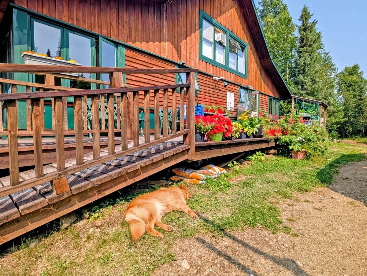 Side view of Wabakimi Outfitters Lodge, a two storey wooden building with a sleeping dog on the ground, colourful flowers on the deck