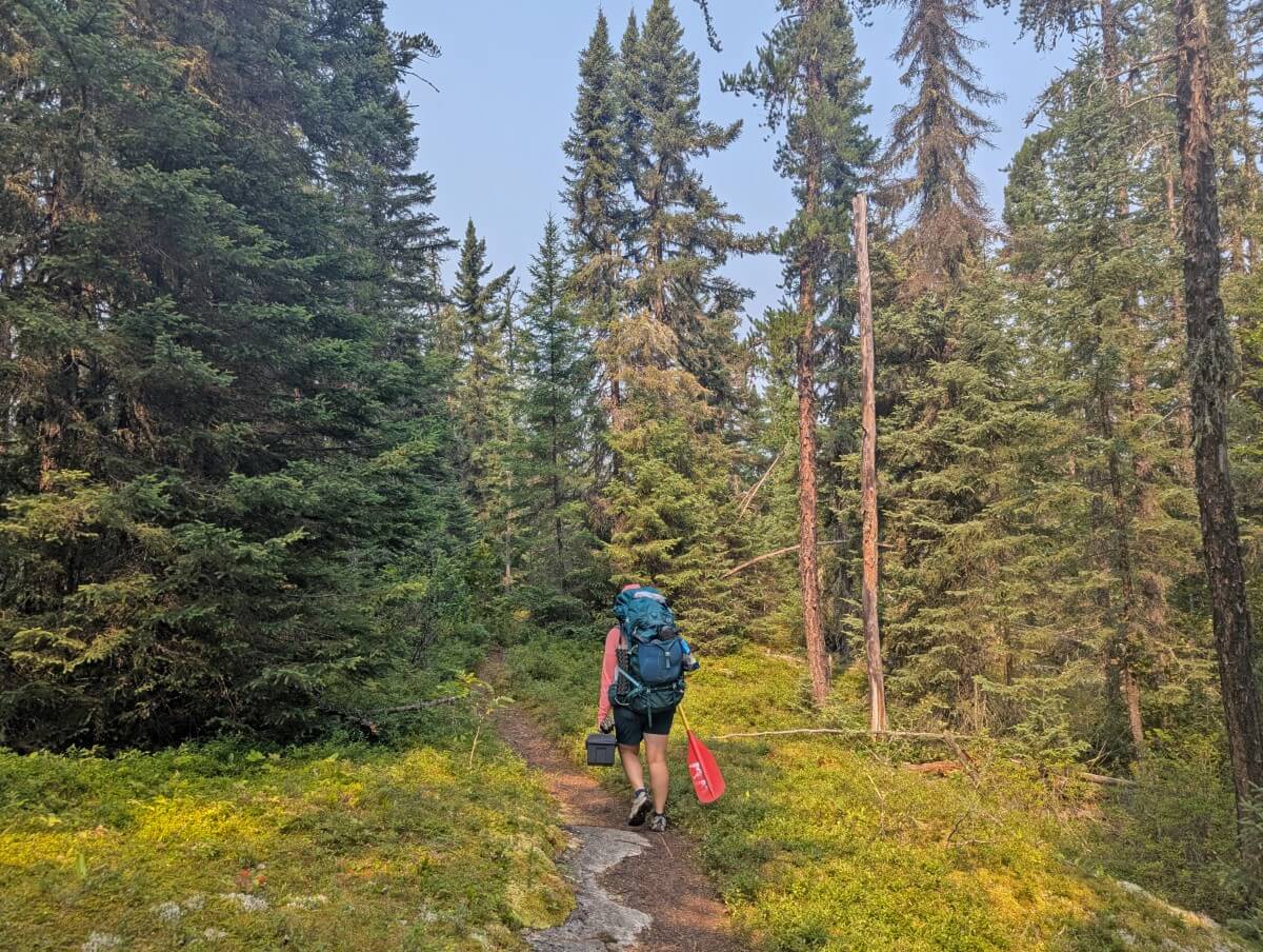 Back view of person carrying backpack and paddle in Quetico Provincial Park, heading into forest on portage trail