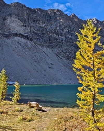 Diana Lake Trail: Teahouse, Hike and Golden Larch Guide