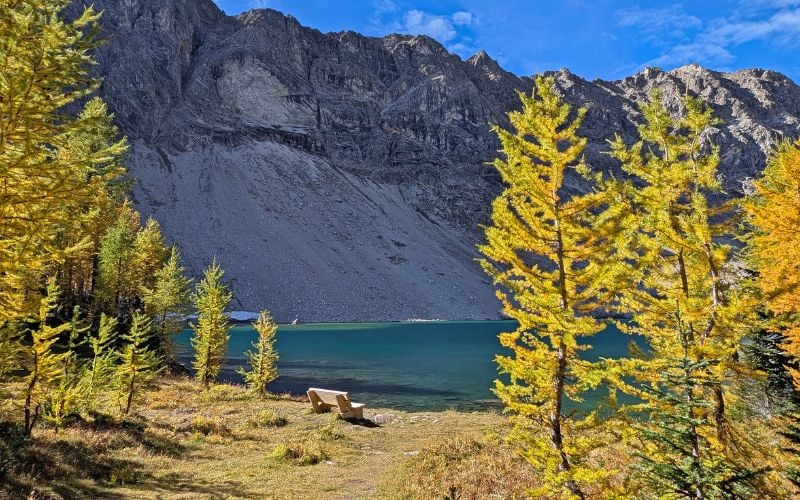 Diana Lake Trail: Teahouse, Hike and Golden Larch Guide