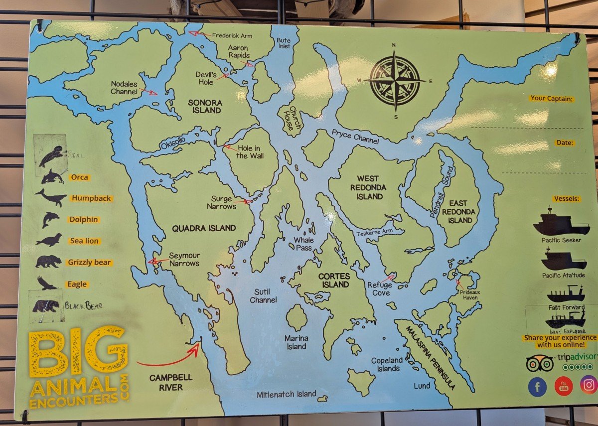 Close up of coastal map by Big Animal Encounters, showing location of Campbell River in relation to surrounding islands and Bute Inlet