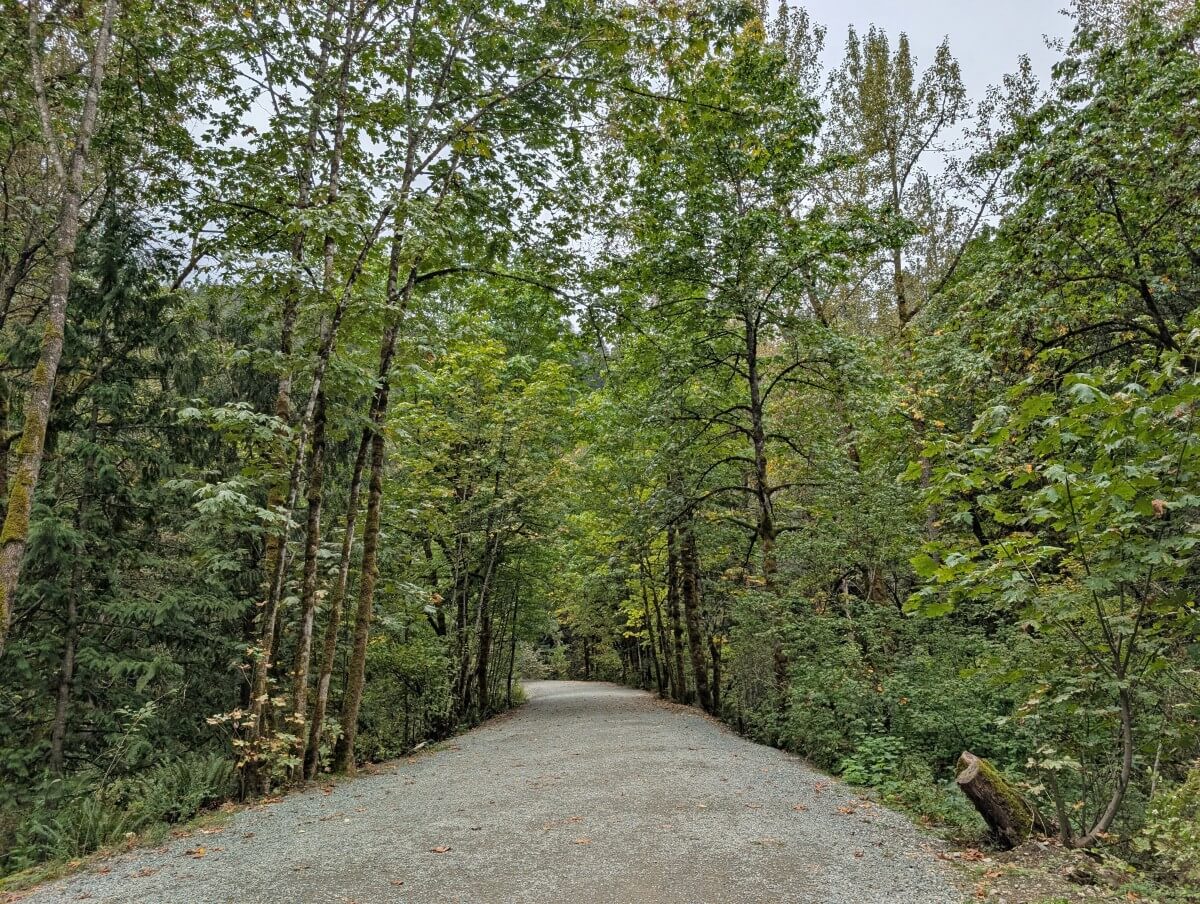 View of wide, flat gravel pathway leading towards the Othello Tunnels, lined by forest