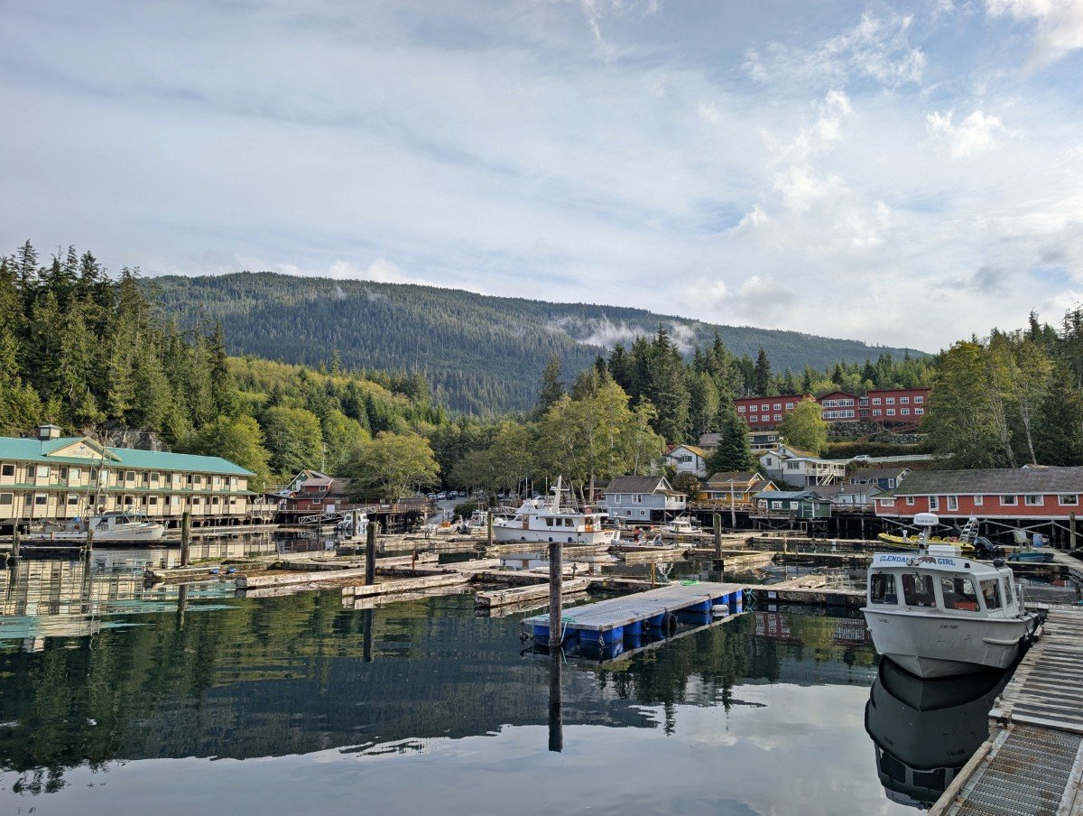 View of Telegraph Cove during calm weather with marina, half a dozen boats, two storey motel style building on left, collection of colourful wooden buildings in centre and higher red building in the background. Backdrop is a forested hill