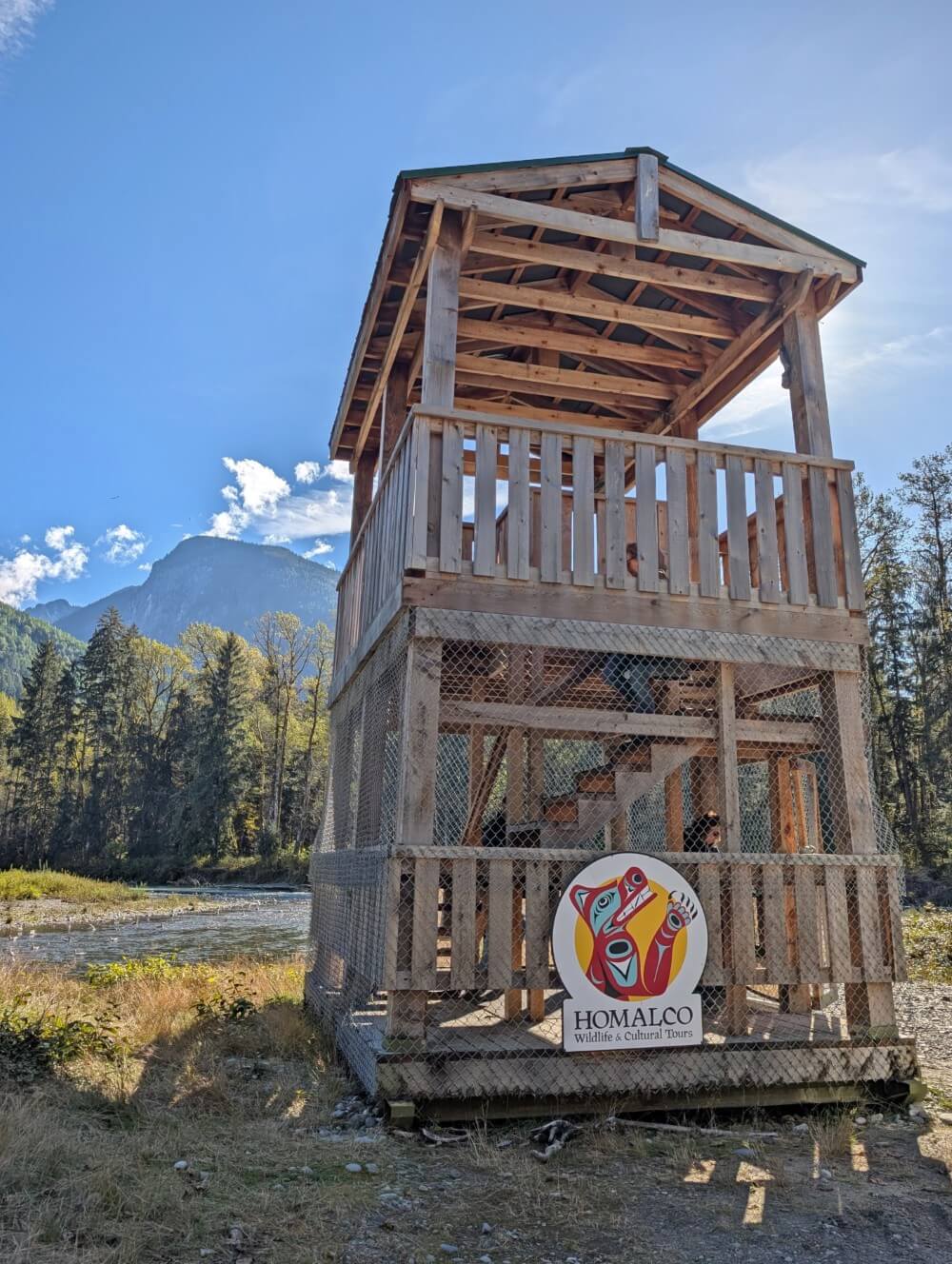 Looking up at one of Homalco Wildlife Tours multi-level viewpoint towers next to the Orford River