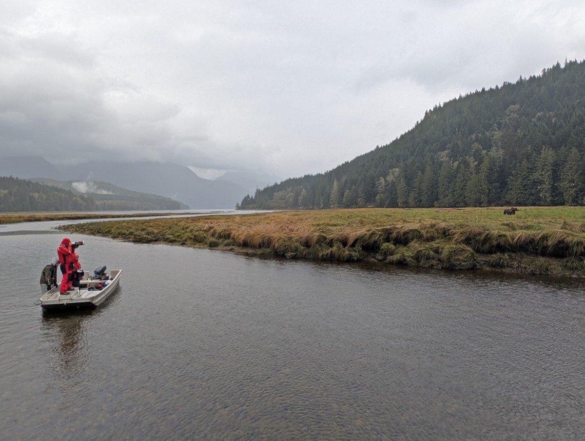 Estuary view with people with large camera standing on shallow boat on left, looking towards a grizzly bear on riverbank on right