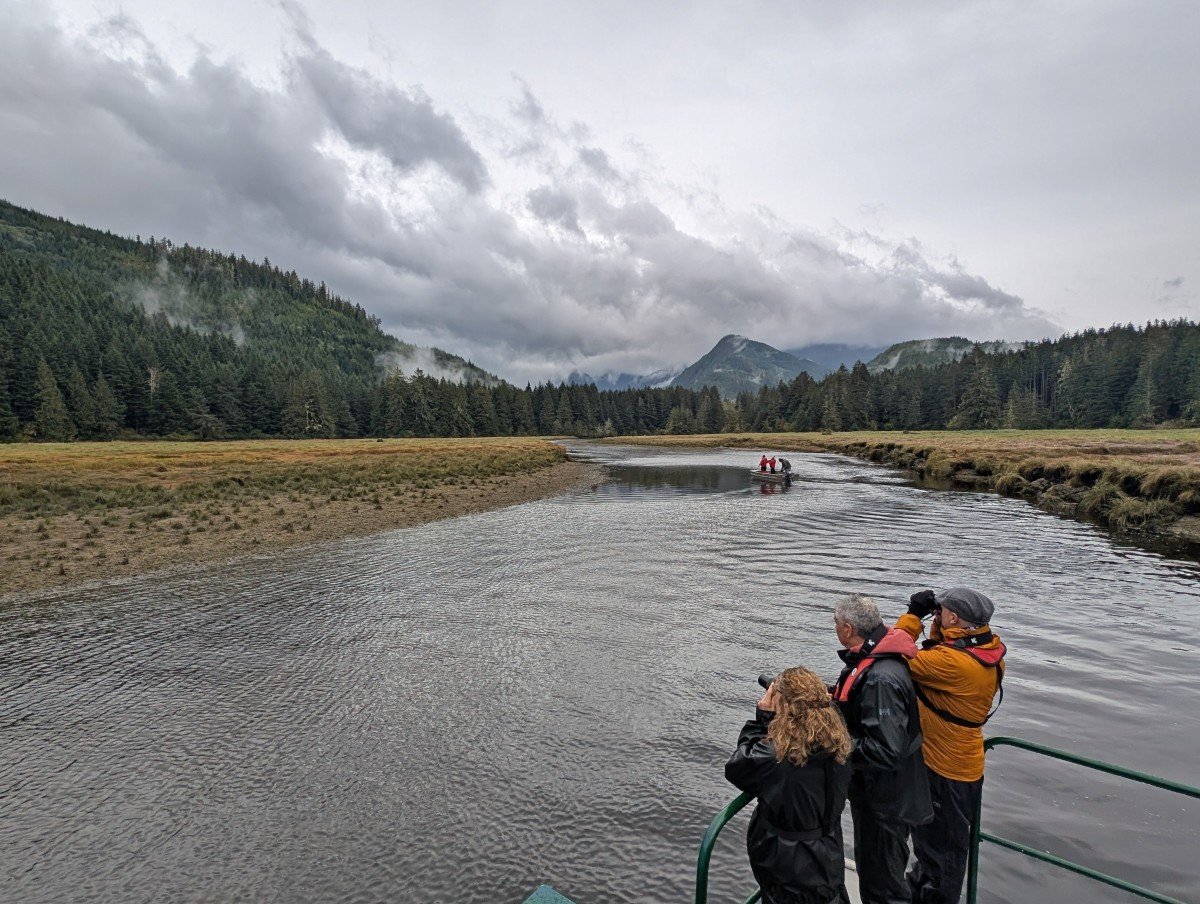 Three people on viewing boat stand on the right, looking at grizzly bears on riverbank on left hand side. The backdrop is misty, forested mountains
