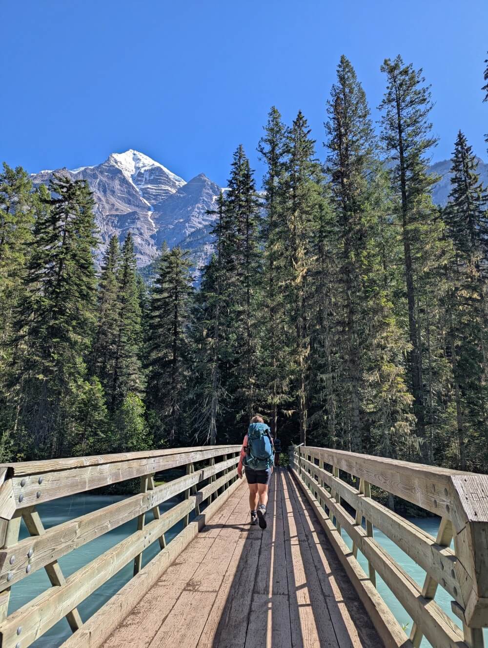 Back view of hiker crossing wooden bridge, backdropped by forest and snow capped Mount Robson