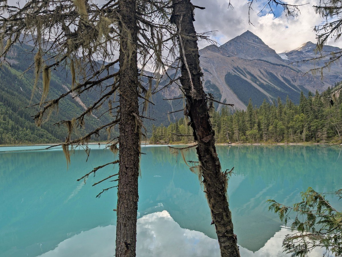 Looking through some mossy trees to the very calm mirror-like Kinney Lake, which is reflecting its mountain backdrop